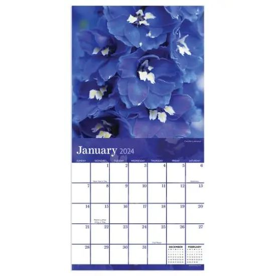 TF Publishing 2024 Flowers Mini Calendar {4}