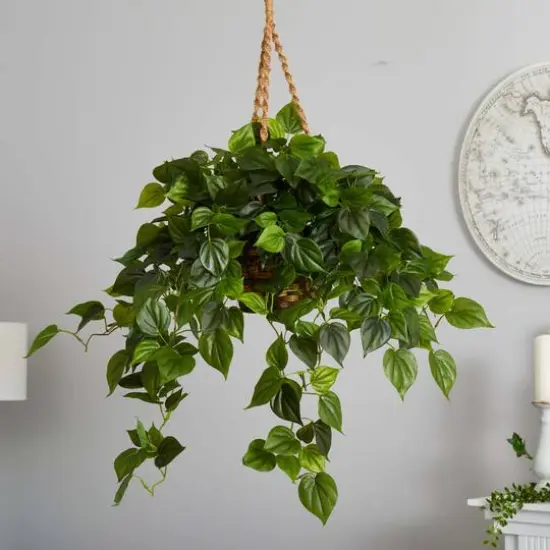 3ft. Philo Plant Hanging Basket {6}
