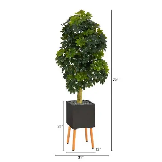 70" Schefflera Tree in Black Planter with Stand {3}