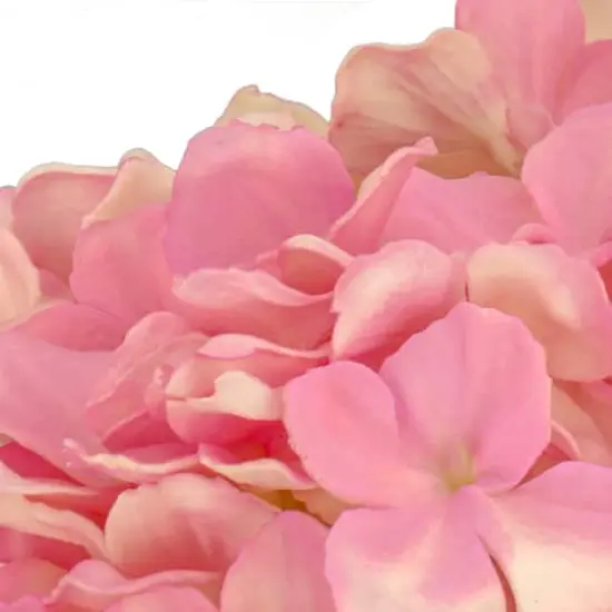 10" Hydrangea Bouquet in Natural Basket Mixed Mauve {5}