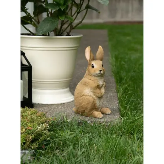 11" Curiously Cute Bunny Garden Figurine {4}