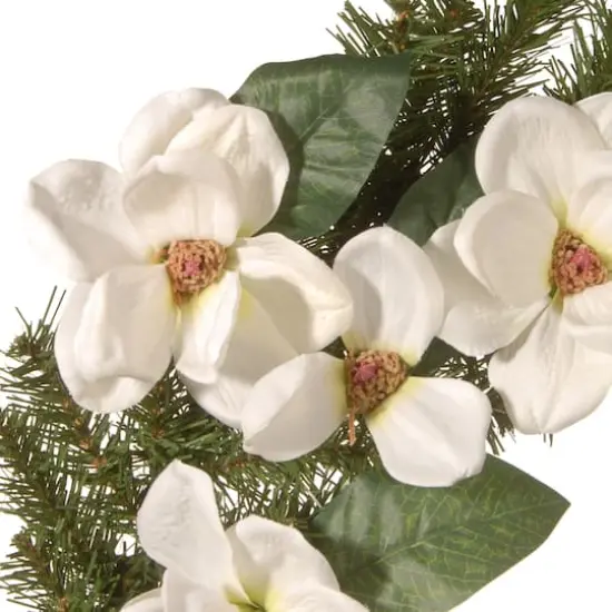 24" North Valley&reg; Spruce Magnolia Wreath {4}