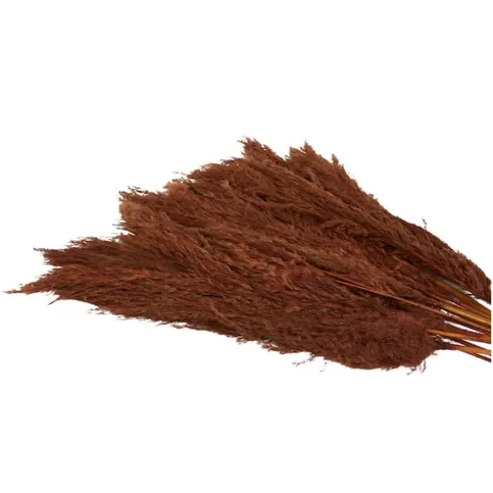 Dried Plant Pampas Natural Foliage with Long Stems Copper {6}