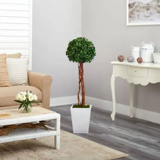 4ft. English Ivy Single Ball Topiary in White Metal Planter {5}