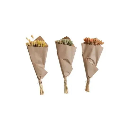 Hello Honey&reg; 19.5" Dried Natural Canary Grass Bunch, 3ct. {1}