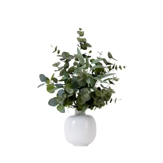 24" Artificial Green Eucalyptus Leaves Arrangement with Ceramic Planter {1}