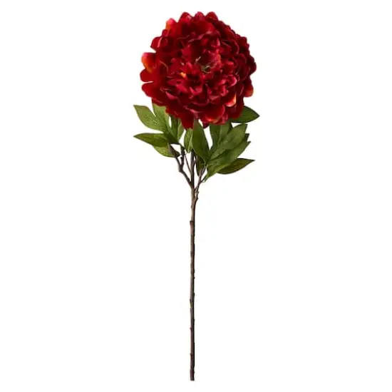 Jumbo Red Peony Stem by Ashland&reg; {1}