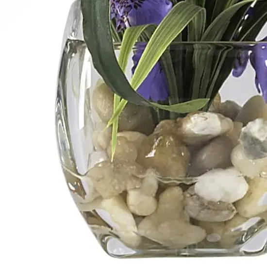 19" Purple Dancing Lady Orchid Arrangement in Vase {4}