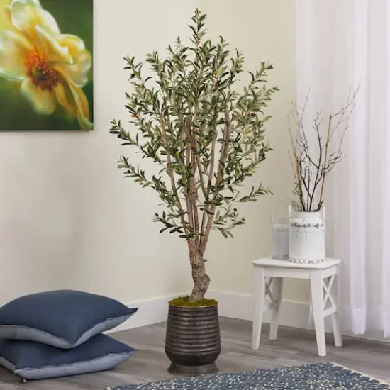 5ft. Olive Tree in Ribbed Metal Planter {4}