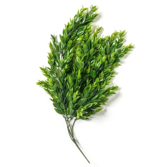 Hanging Ruscus Bush by Ashland&reg; {6}