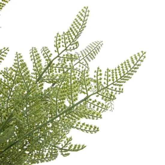 Green Plastic Traditional Artificial Foliage, 15" x 15" x 19" {4}