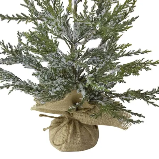 24" Unlit Real Touch&trade;️ Iced Cedar Artificial Christmas Tree {5}