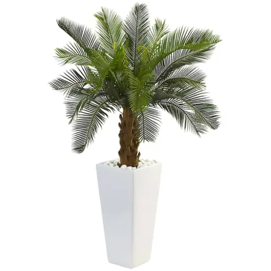 3ft. Sago Palm Tree in White Tower Planter {1}