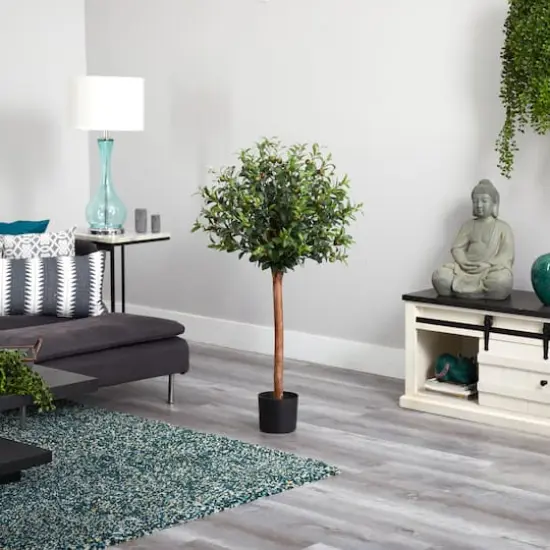 4ft. Potted Olive Topiary Tree {5}