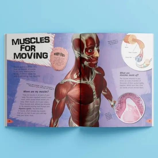 Incredible But True: The Human Body {5}