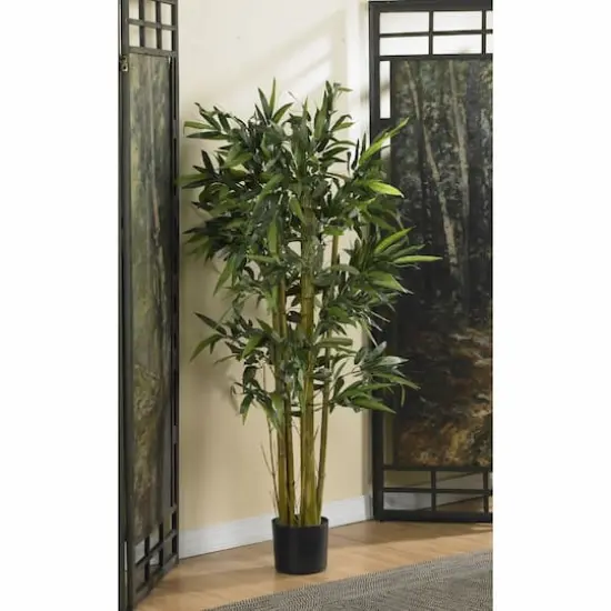 4ft. Potted Biggy Bamboo Tree {4}