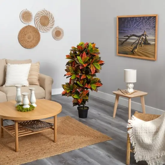 4.5ft. Potted Croton Plant {4}