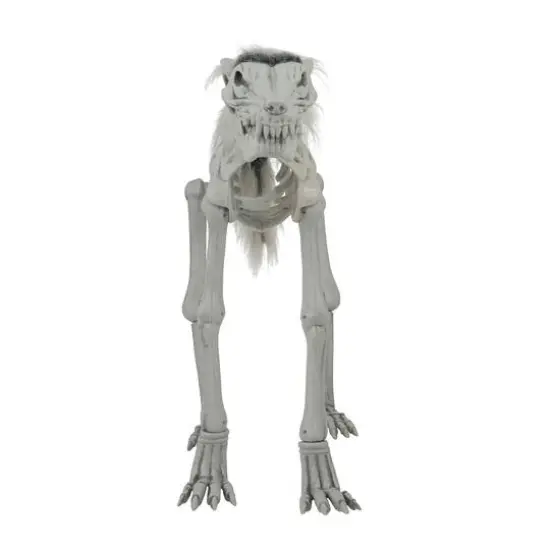 34.5" LED Animated Wolf Skeleton by Ashland&reg; {3}