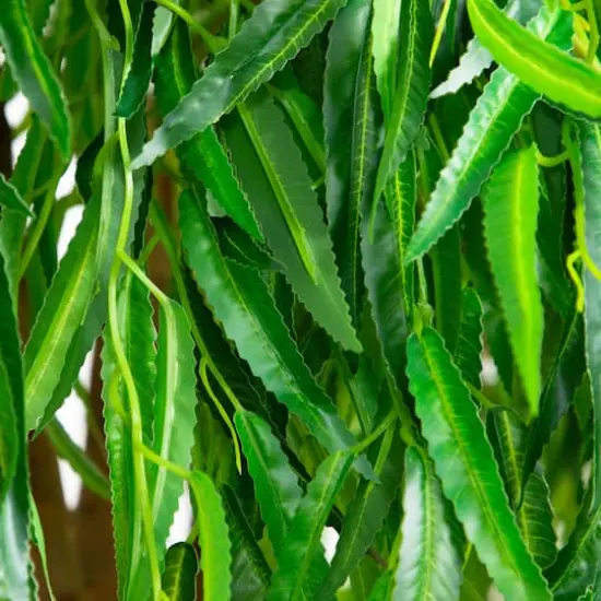 5ft. Real Touch Potted Willow Tree {8}