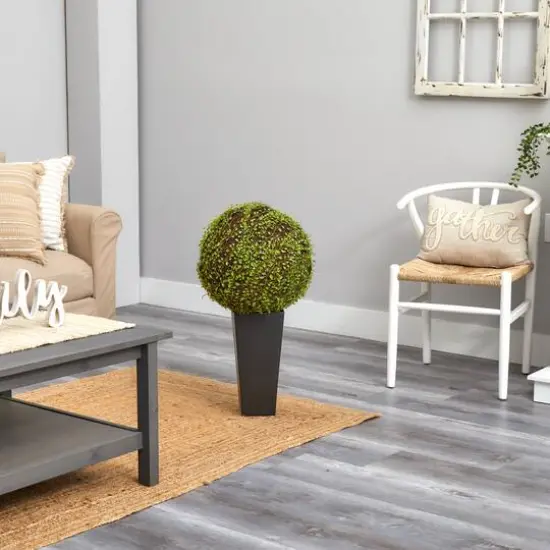 2.5ft. Mohlenbechia Ball in Black Tower Vase {13}