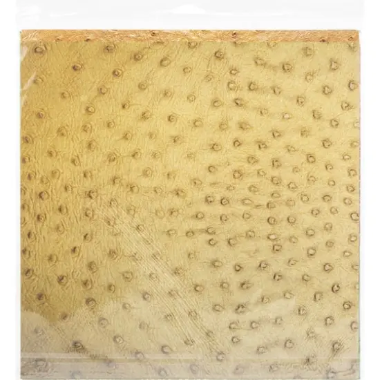 Ella & Viv Collection Kit 12"X12"-Animal Kingdom {3}