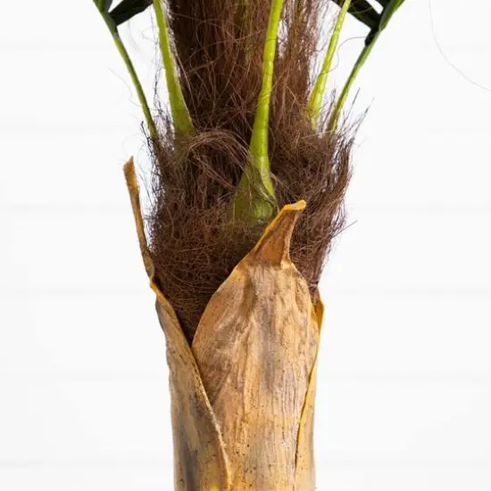 5ft. Potted Coconut Palm Tree {6}