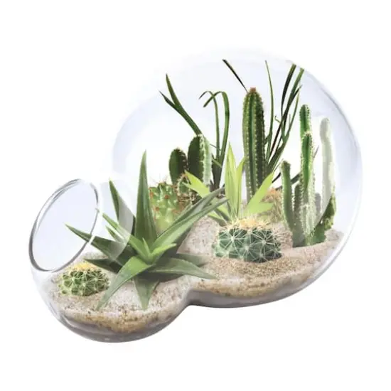 Double Sphere Glass Terrarium - Desert Escape Growarium {1}