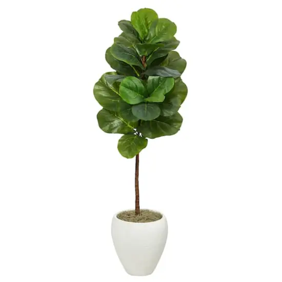 4.5ft. Fiddle Leaf Fig Tree in White Planter {1}