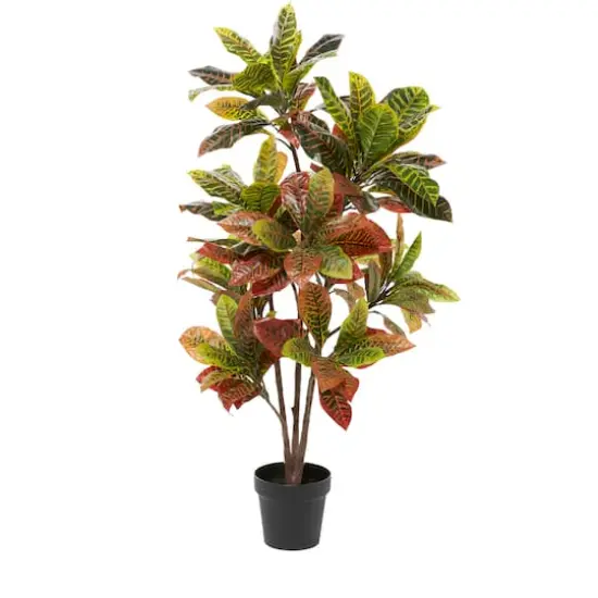 46" Potted Croton Shrub Tree {1}