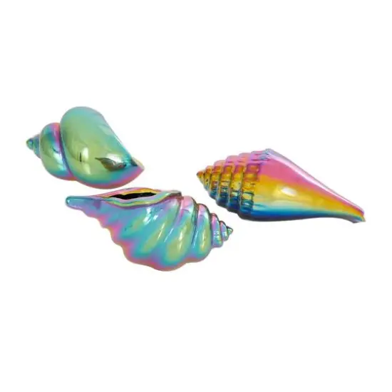 Rainbow Ceramic Shell Sculpture Set {8}