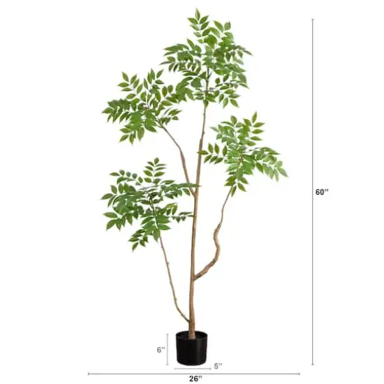 5ft. Potted Pieris Tree {7}