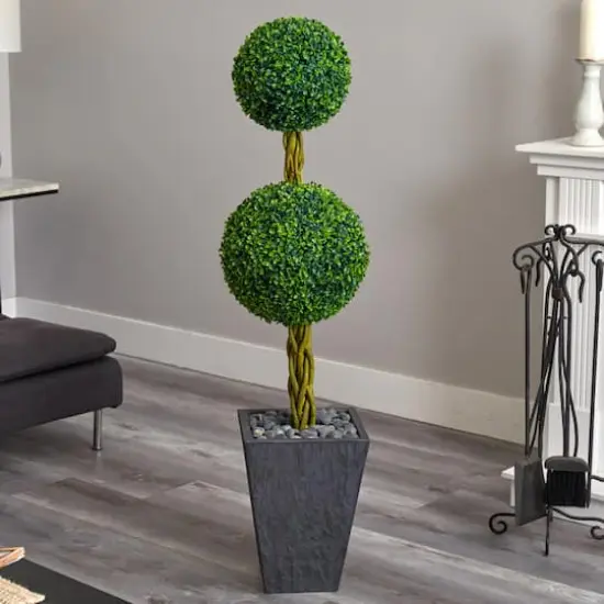 5ft. Double Ball Boxwood Topiary Tree in Slate Planter {5}