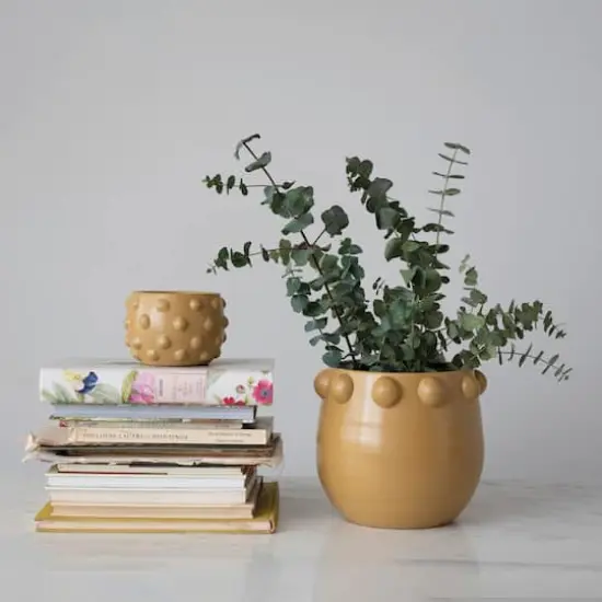 Hello Honey&reg; 6.5" Matte Dijon Terra Cotta Planter with Raised Dots {3}