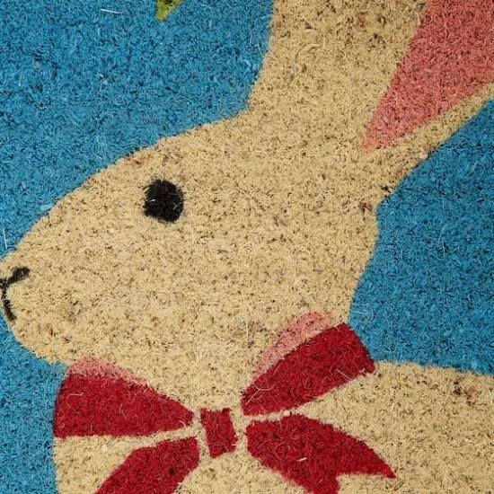DII&reg; Easter Bunny Doormat {3}