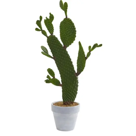 2ft. Cactus Plant in White Planter {1}