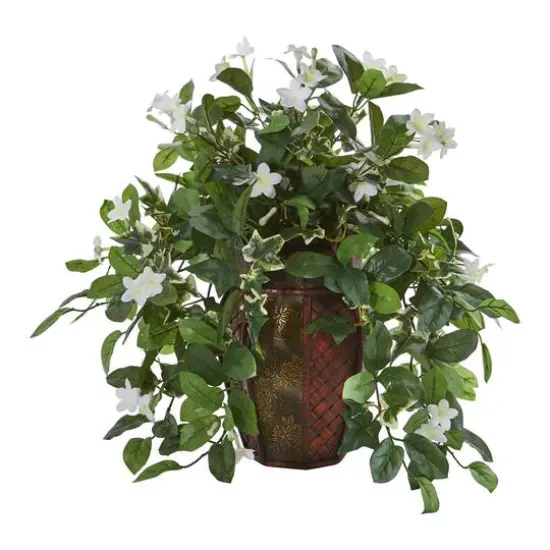 17" Stephanotis & Ivy Plant in Decorative Planter {1}