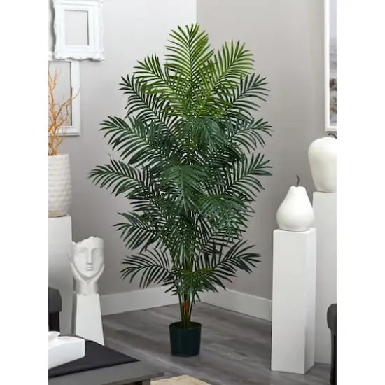 7ft. Potted Paradise Palm {10}
