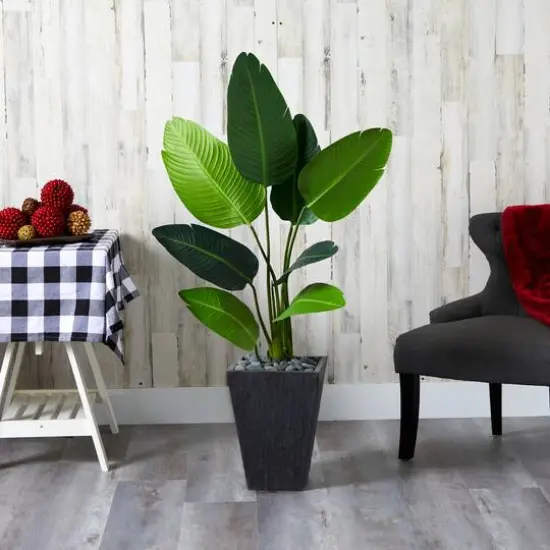 4ft. Travelers Palm Tree in Slate Planter {4}