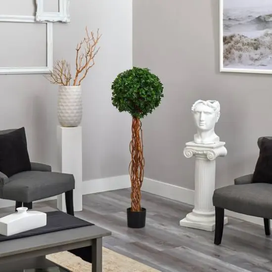 4.5ft. Potted English Ivy Ball Topiary Tree {5}