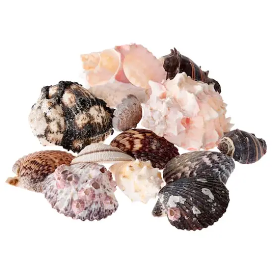 U.S. Shell Garden Bag {4}