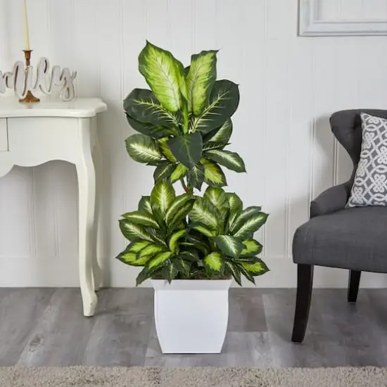 4ft. Golden Dumb Cane Plant in White Metal Planter {4}
