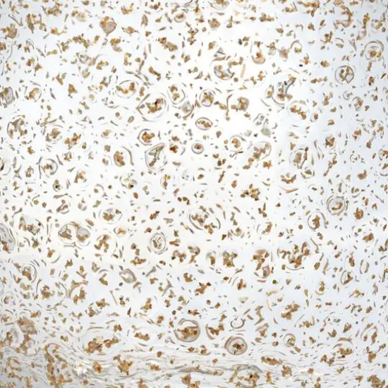 Hello Honey&reg; 8oz. Gold Flecked Clear Drinking Glass {3}