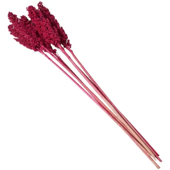 Dried Corn Maize Natural Foliage with Long Stems Pink {4}