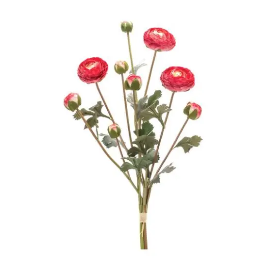 Red Ranunculus Bundle, 2ct. {3}