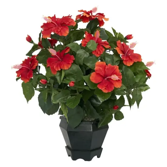 20" Orange Hibiscus with Black Hexagon Vase {1}