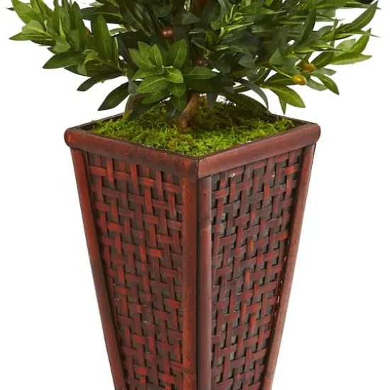 4ft. Green Olive Cone Topiary Tree in Decorative Planter {4}