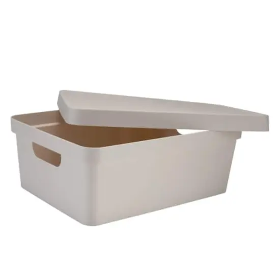 Simplify 14.5" Vinto Storage Box with Lid Ivory {4}