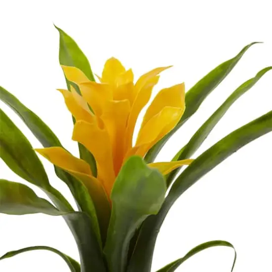 Yellow Bromeliad Flower, 6ct. {4}