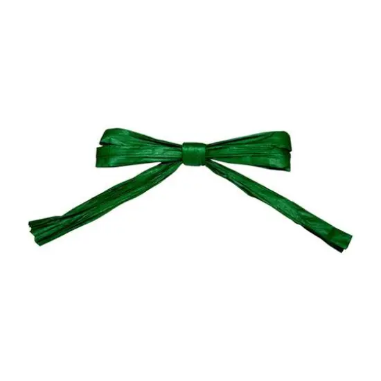JAM Paper 0.25" 2 Strand Raffia Twist Tie Bows, 100ct. Hunter {1}