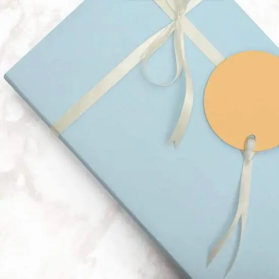 JAM Paper Matte Gift Wrap, 2ct. Light Baby Blue/Pool Blue {7}
